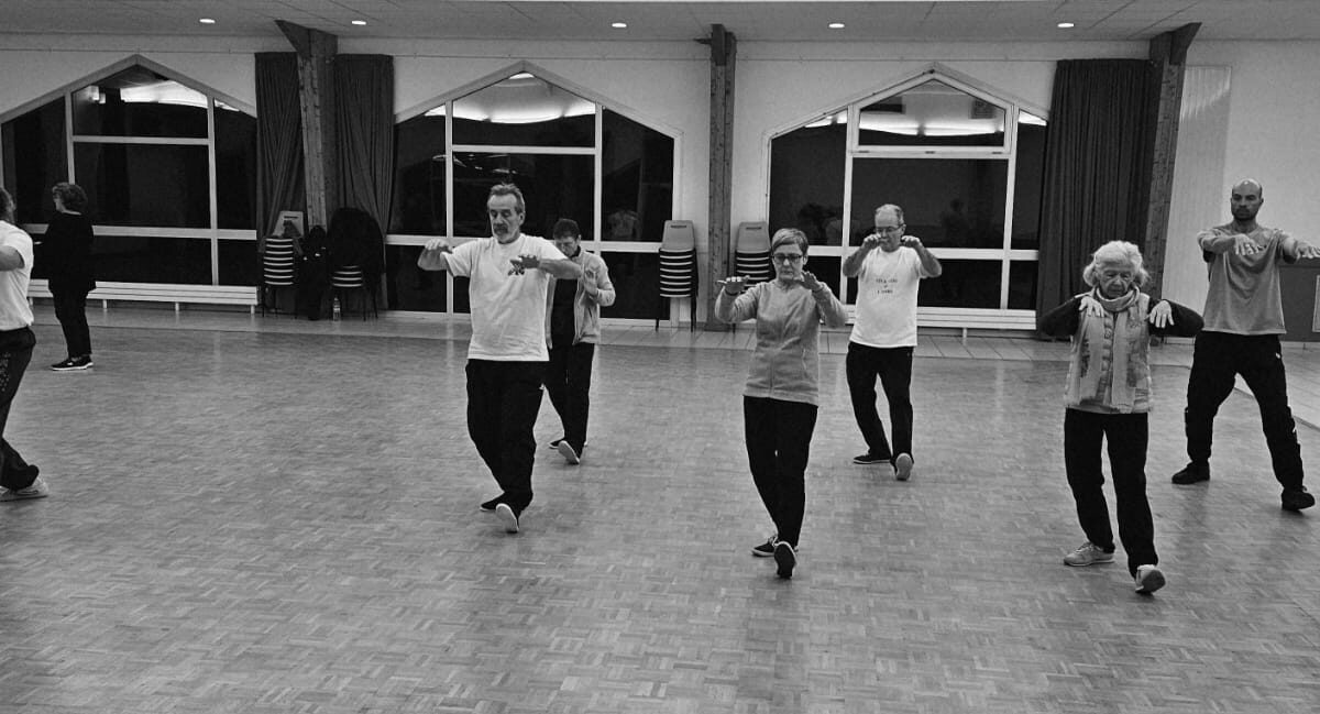 Forme 48 mouvements Yang