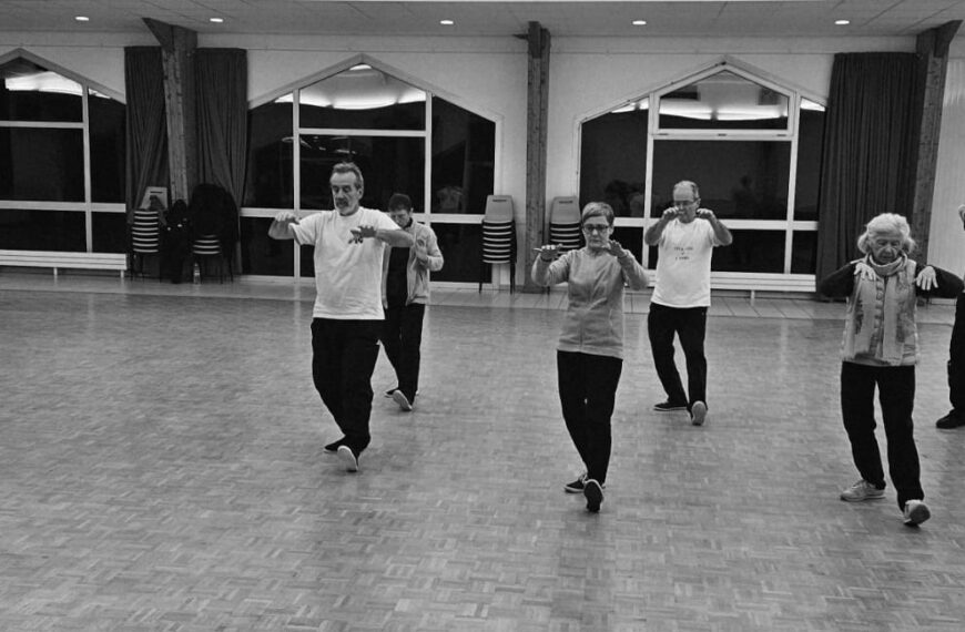 Forme 48 mouvements Yang